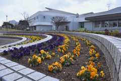 公園の花壇2