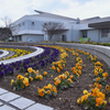公園の花壇2