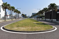海沿いの道路