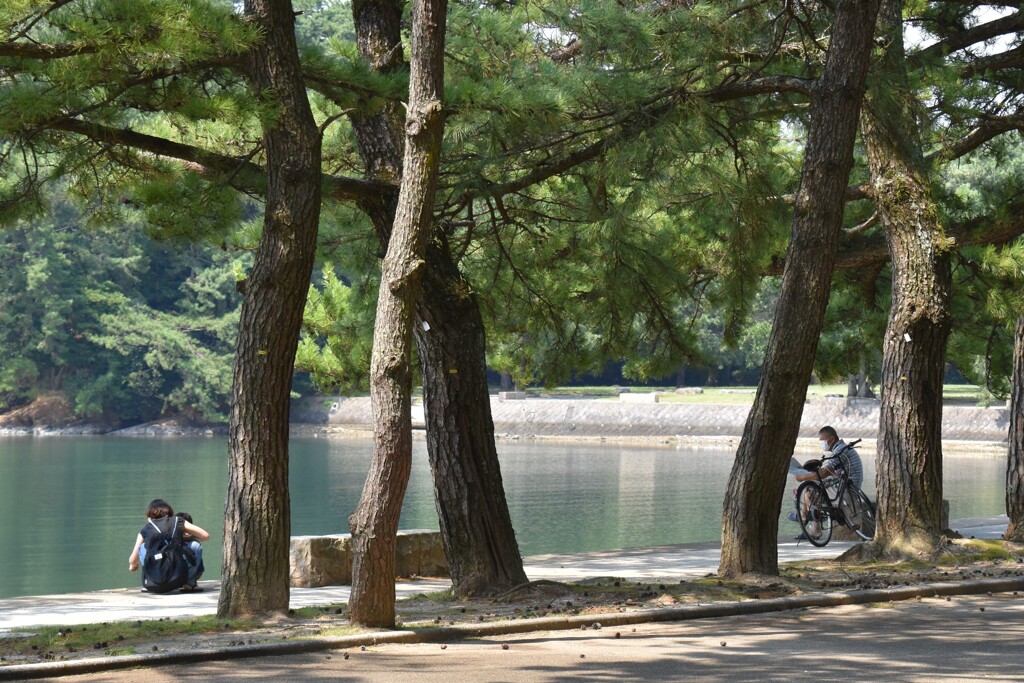 憩いの時