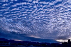 夕方のうろこ雲