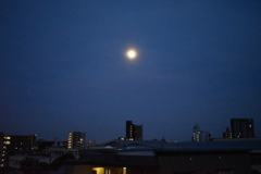 月明りの福岡空