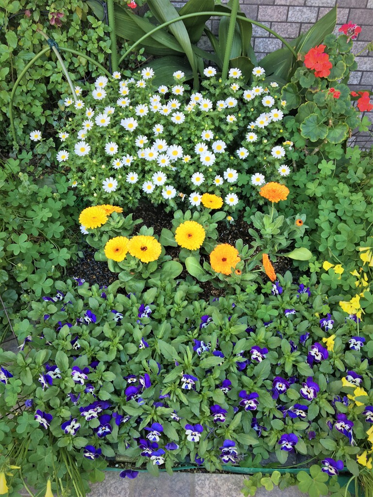 エントランスの花壇