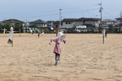 たくさんの案山子