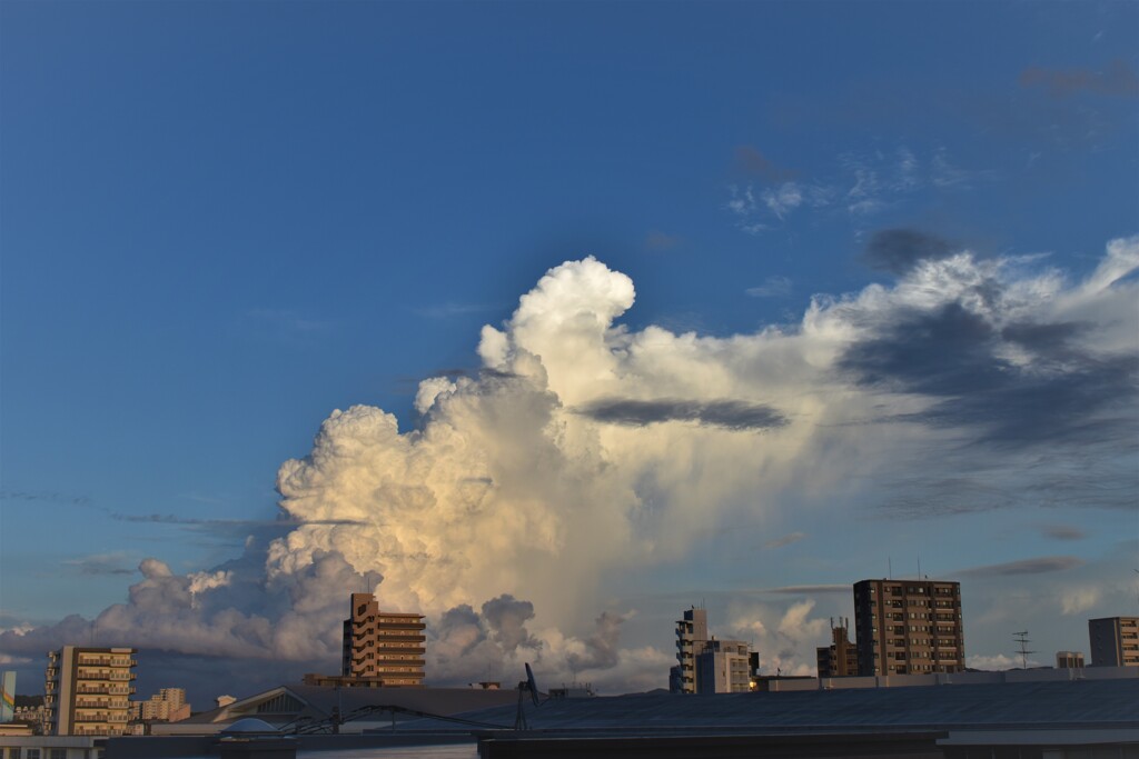 八月の福岡空