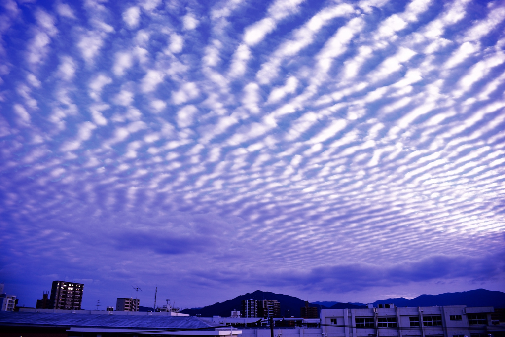 反対側からのうろこ雲