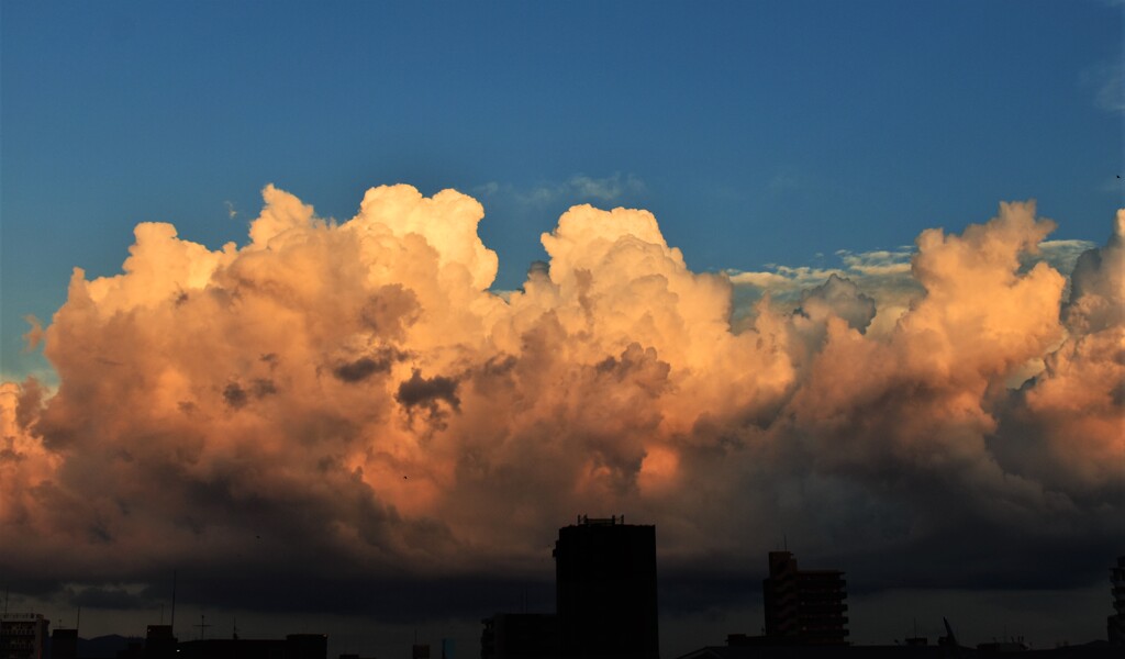 夕方の福岡空