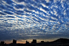 また出ました! ! 層積雲(わた雲)