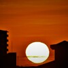 白い太陽が顔を出しました