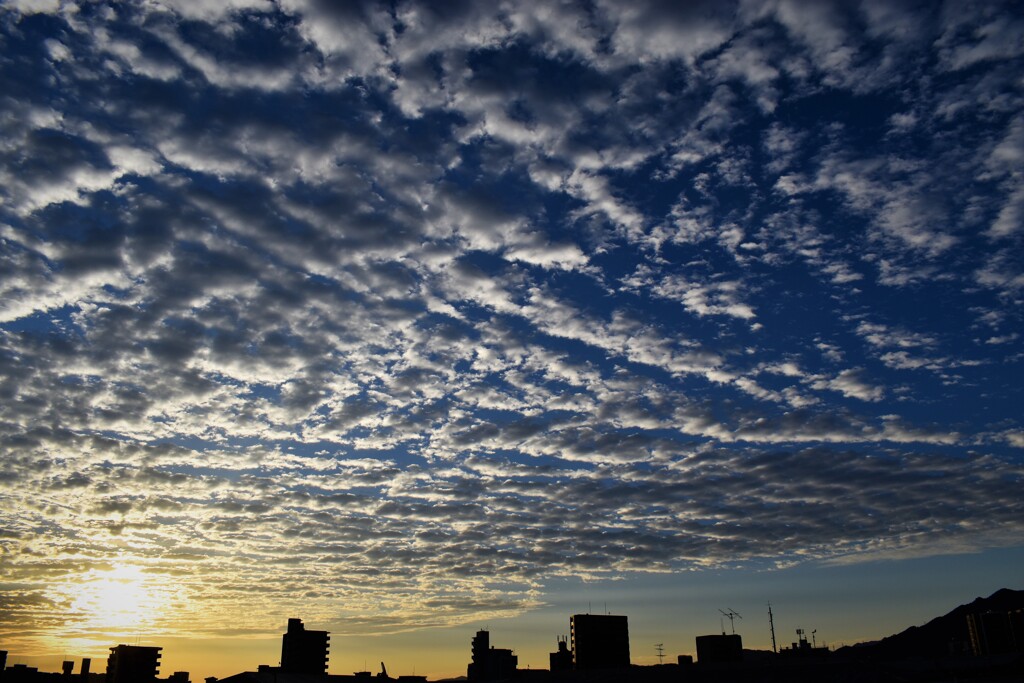 綺麗な雲