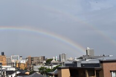 夕立のあとの虹