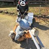 木彫りのくまモン
