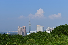 福岡タワー,PayPayドーム