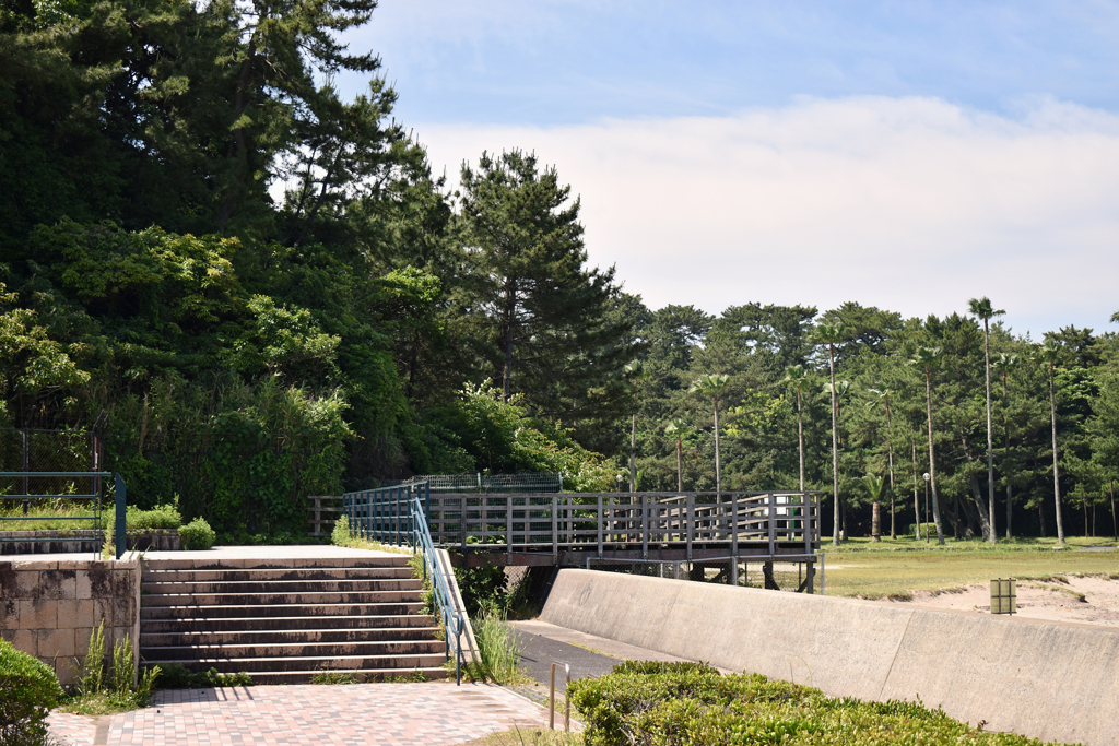 海辺の公園