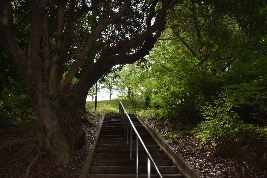 近くの山公園の登り口