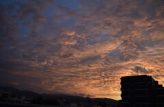 福岡の夕日 福岡の夕日