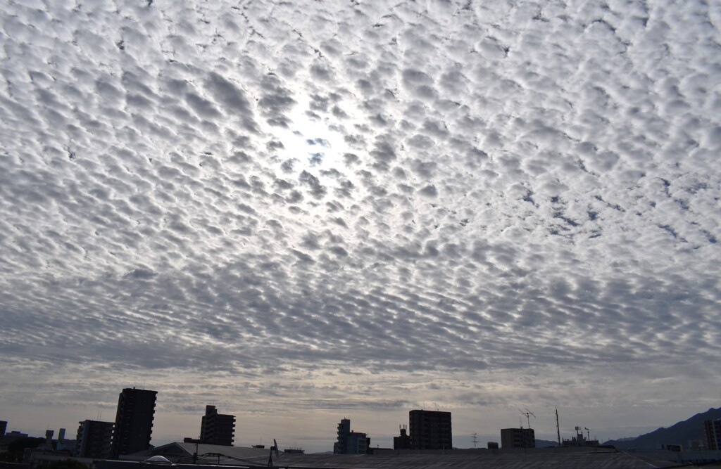 うろこ雲1