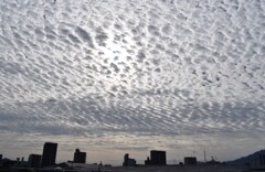 うろこ雲1