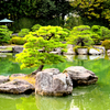 日本庭園3
