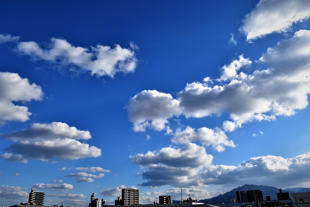 12月の快晴日