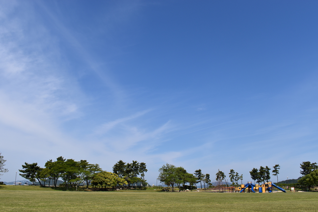公園の遊具
