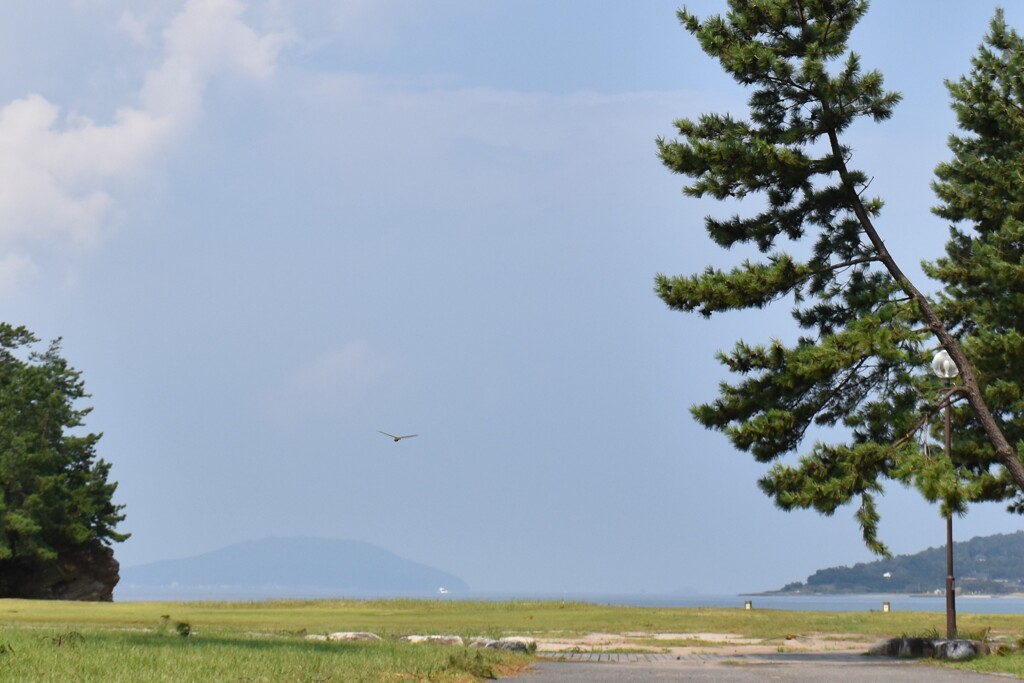 海辺近くの公園