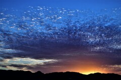 はじける雲の夕日