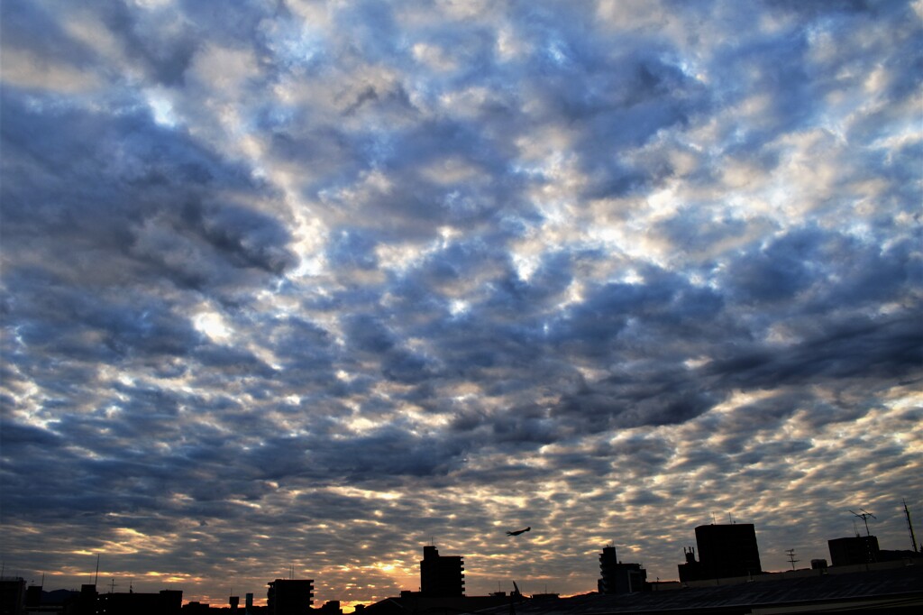 福岡の朝空