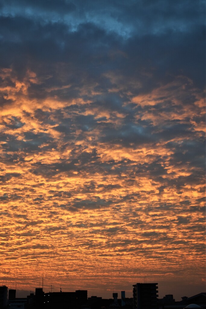 朝焼け空