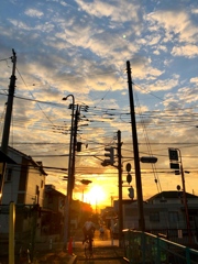 夕方の散歩道