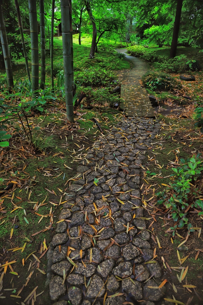 雨に濡れる石畳