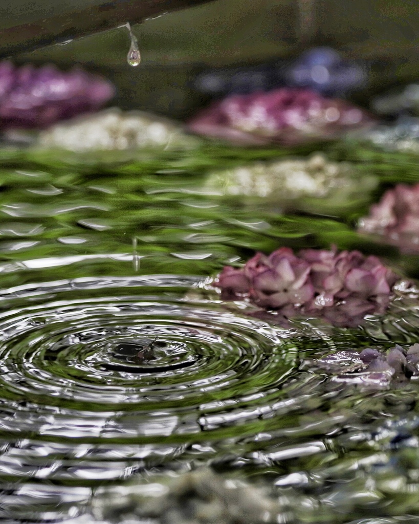 花手水