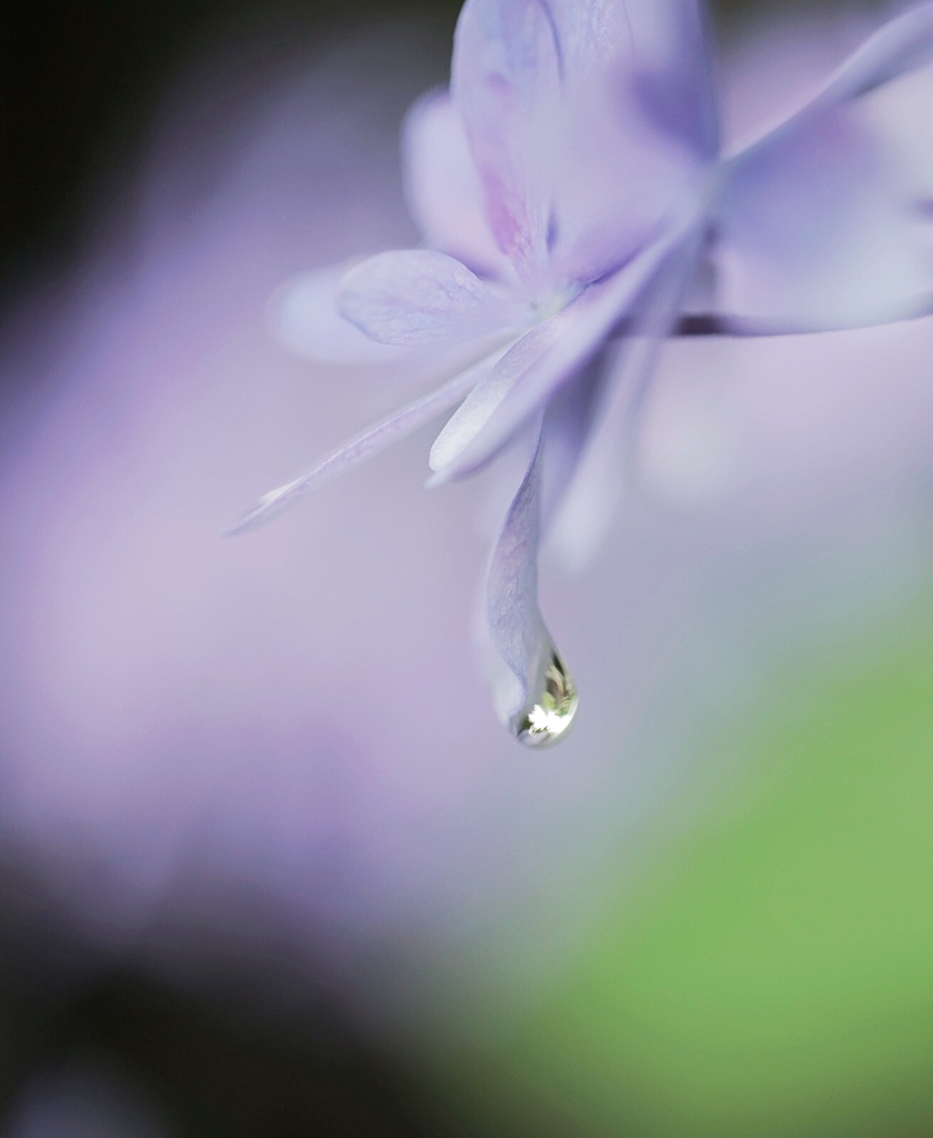 一雫