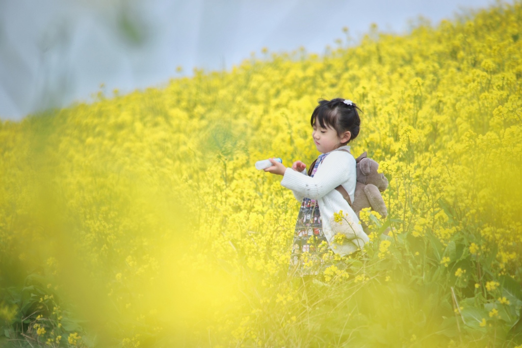 菜の花女子