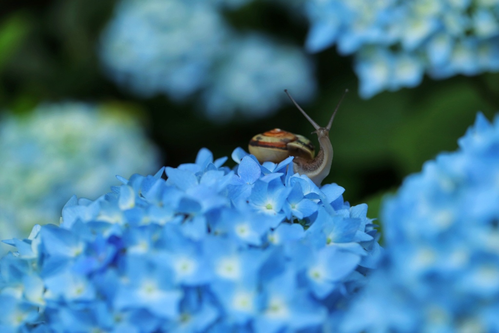 お花のベットでのび〜‼️