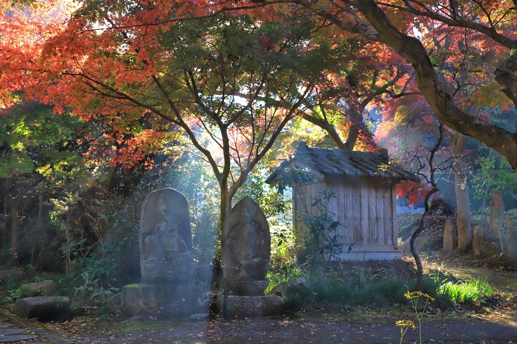 晩秋の古刹