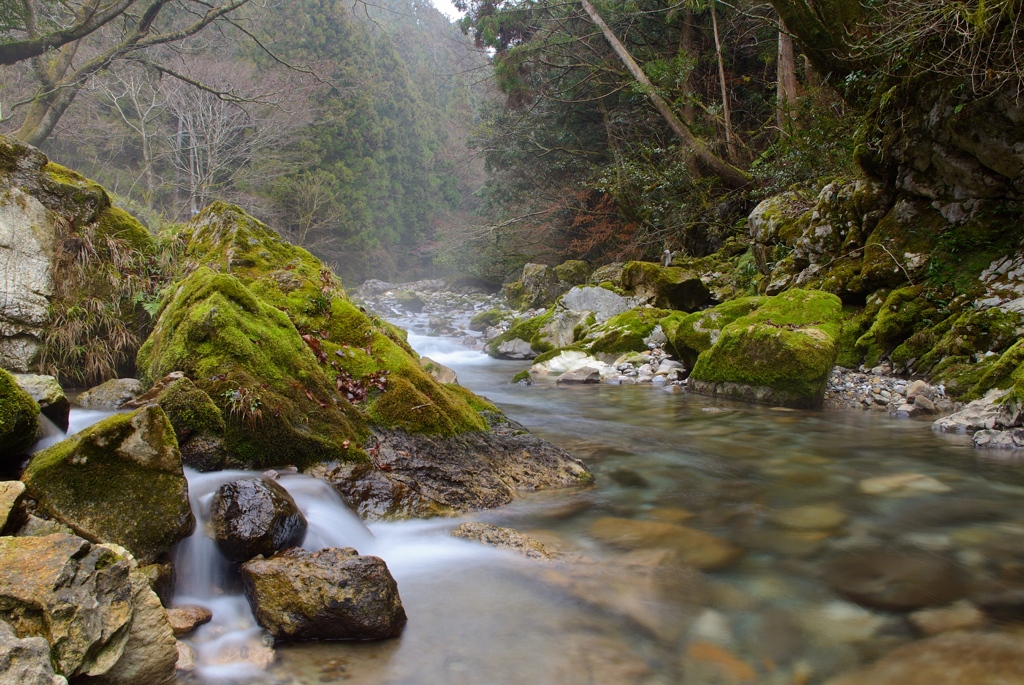 冬の円原川