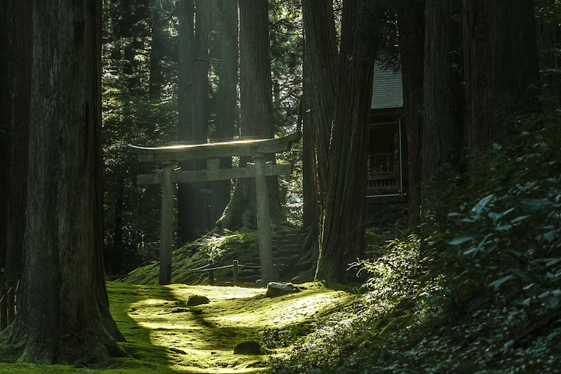 平泉寺白山神社