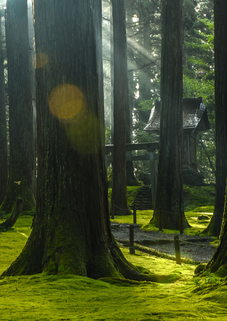 平泉寺白山神社