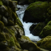 深苔の川