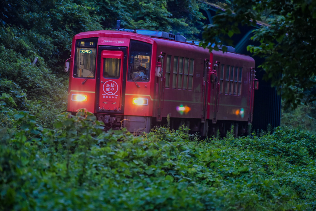 越美北線 小和清水駅