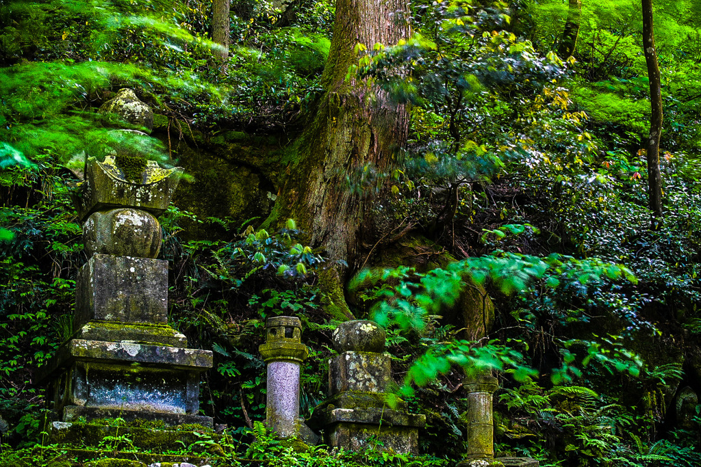 登山道入口