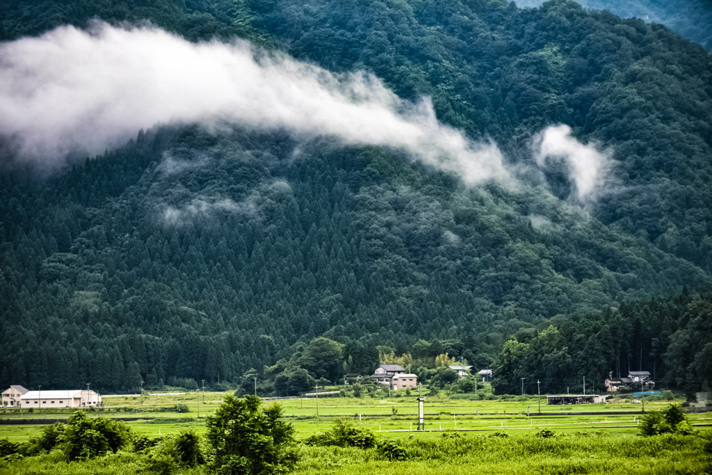 龍雲