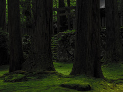 平泉寺白山神社