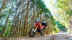 CRF250