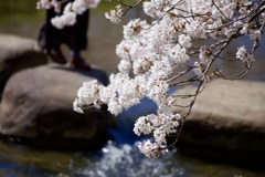 春の一歩