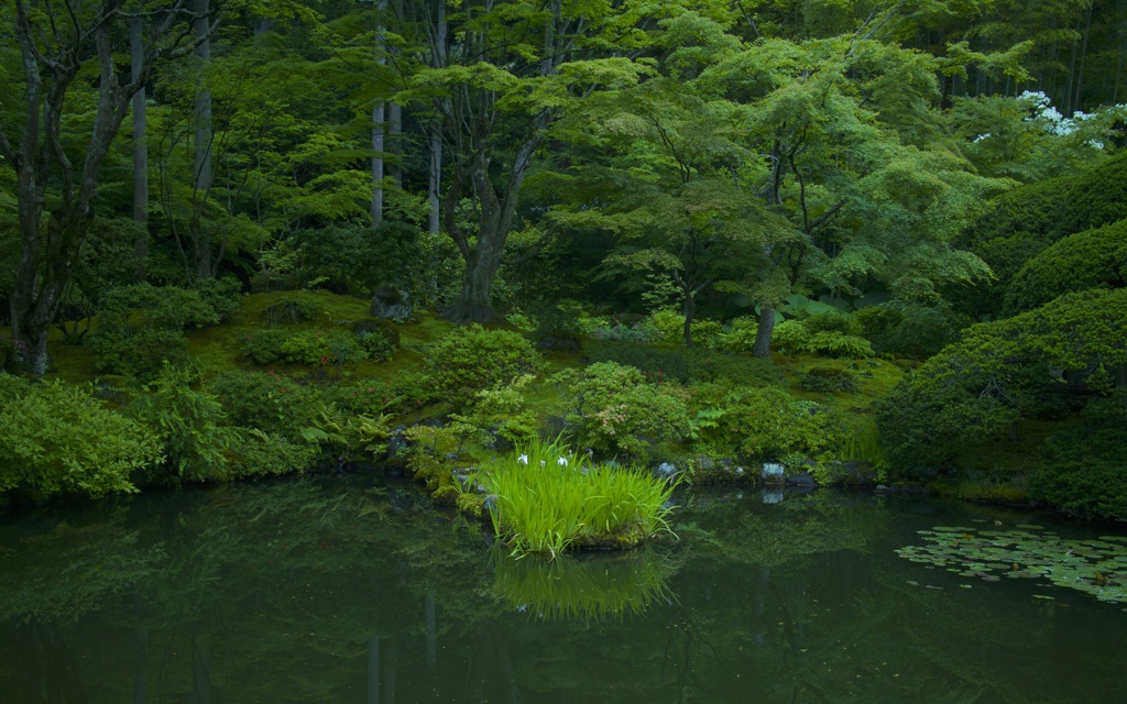 静寂