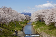 郡山の藤田川