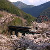高山線2