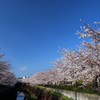 山崎川2